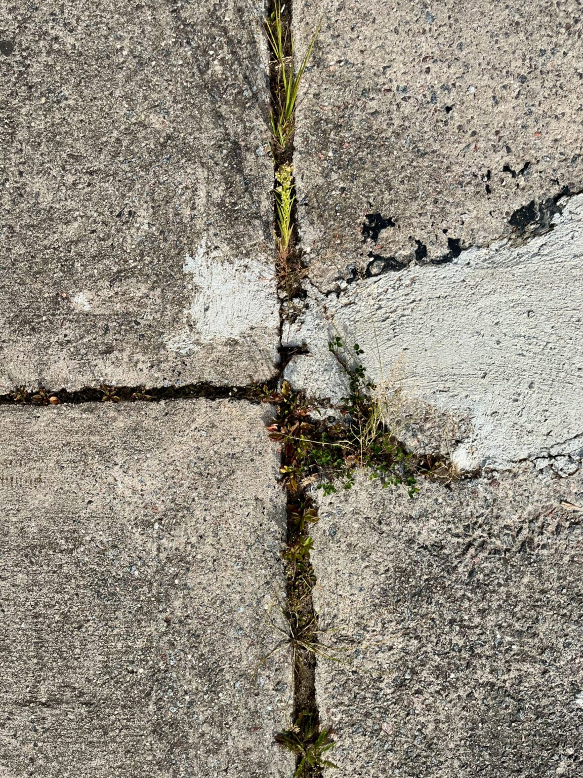 Nelja erineva katendi kohtumisdetail