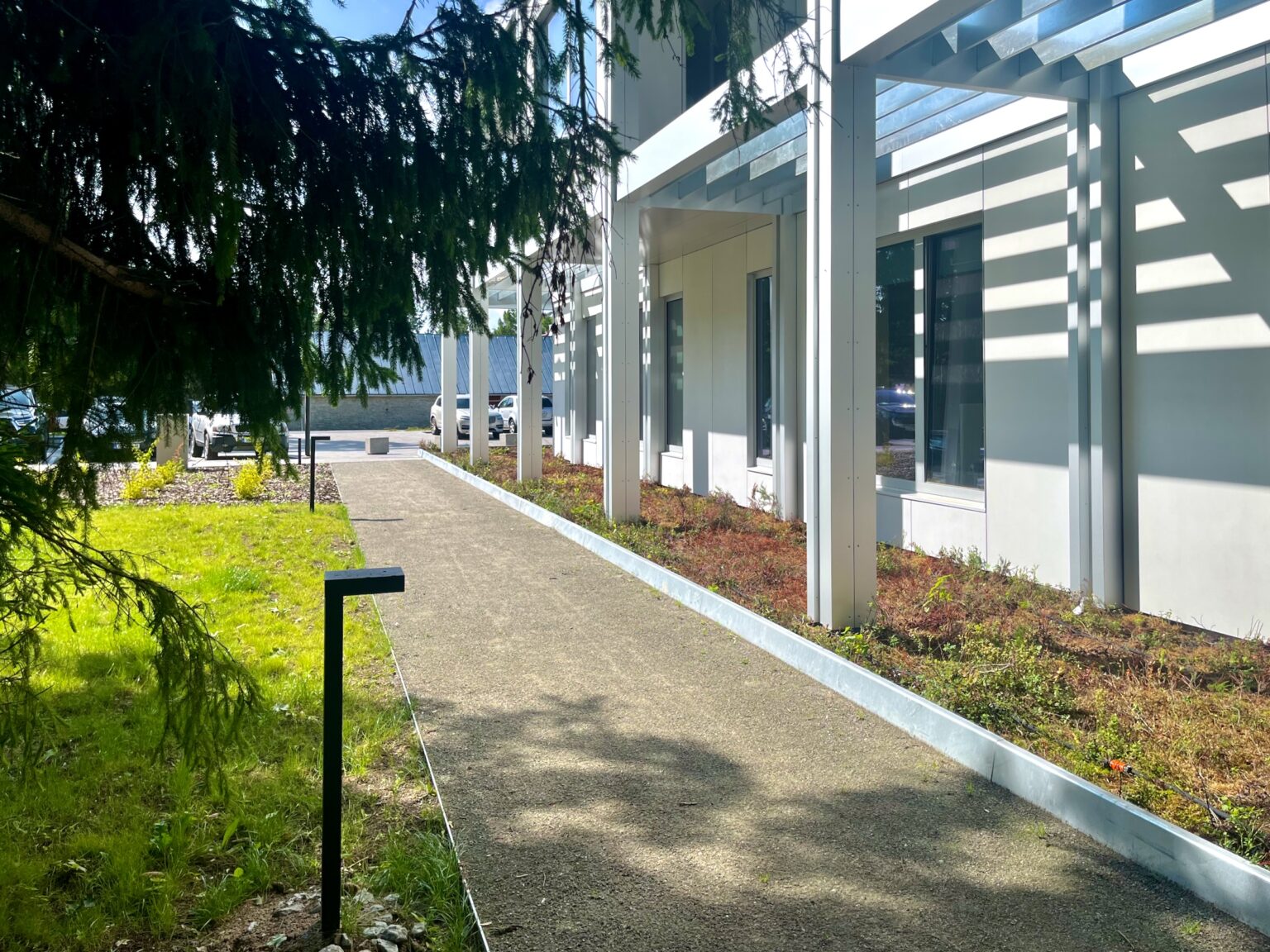 Hooneäärne jalgtee ja istutusala Harku vallamaja juures